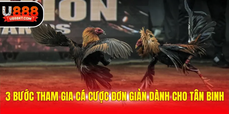 3 bước tham gia cá cược đơn giản dành cho tân binh