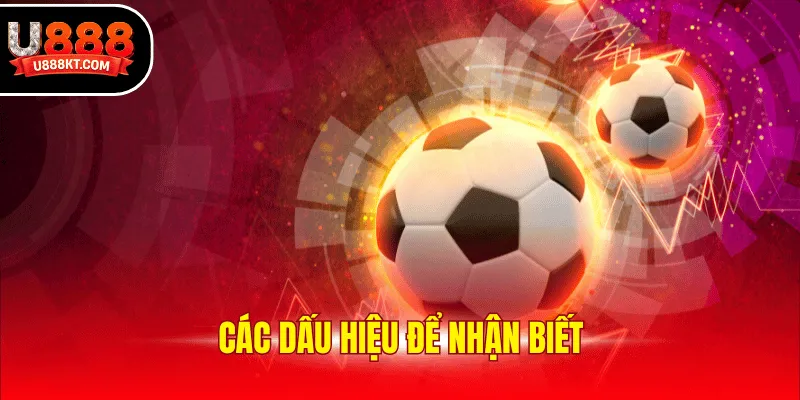 Các dấu hiệu để nhận biết